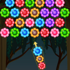 Flowers Shooter flowers-shooter